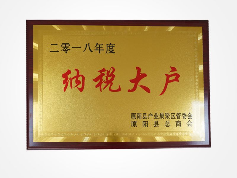2018納稅大戶